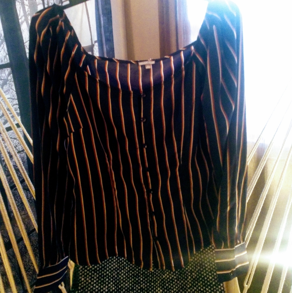 Striped, button up, long sleeve, blouse.